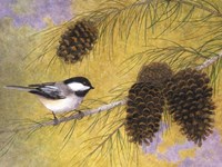 Framed Chickadee in the Pines I