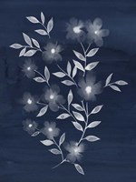 Framed Flower Cyanotype II