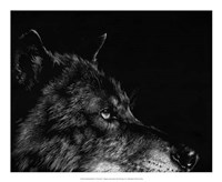 Framed Scratchboard Wolf I