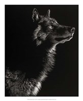 Framed Scratchboard Wolf II