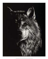 Framed Scratchboard Wolf III