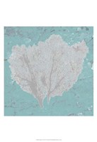 Framed Graphic Sea Fan IV