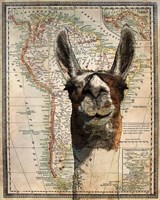 Framed South America Llama Map