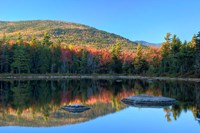 Framed Lily Pond, White Mountain Forest, New Hampshire