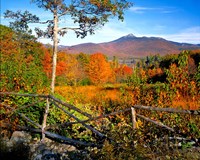 Framed Autumn landscape of Mount Chocorua, New England, New Hampshire