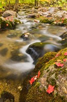 Framed stream in fall, Grafton, New Hampshire