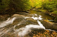 Framed Autumn stream, New Hampshire