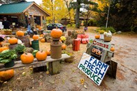 Framed Farm stand, Holderness, New Hampshire