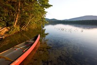 Framed White Lake State Park, New Hampshire