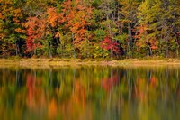 Framed Reflected autumn colors at Echo Lake State Park, New Hampshire