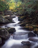 Framed Gordon Water Falls, Appalachia, White Mountains, New Hampshire