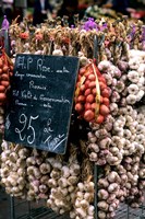 Framed Ropes of Garlic in Local Shop, Nice, France