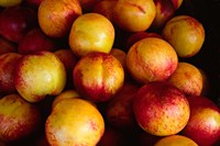 Framed Plums at an Outdoor Market, Nice, France