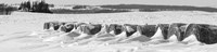 Framed Line of bales drifted with snow in Clayton County, Iowa