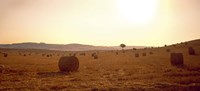 Framed Hay Bales, Tuscany, Italy