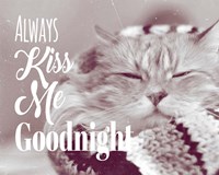 Framed Always Kiss Me Goodnight Sleepy Cat