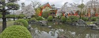 Framed Trees in Pond at Sanjusangen-Do Temple, Kyoto, Japan