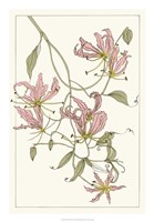 Framed Botanical Gloriosa Lily II
