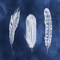 Framed Cyanotype Feathers I