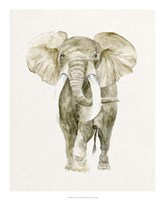 Framed Baby Elephant I