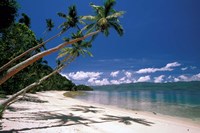 Framed Oceania, Fiji Island