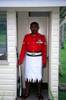 Framed Guard, Former Government House, Suva, Fiji