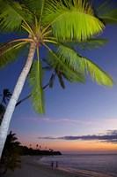 Framed Palm trees and sunset, Plantation Island Resort, Fiji