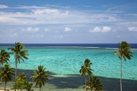 Framed Palm trees and coral reef, Crusoe's Retreat, Coral Coast, Viti Levu, Fiji