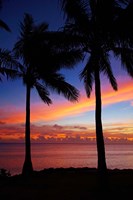 Framed Sunset and palm trees, Coral Coast, Viti Levu, Fiji