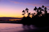 Framed Fiji Islands, Tavarua, Palm trees and sunset