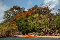 Framed Christmas Tree and Orange Skiff, Turtle Island, Yasawa Islands, Fiji