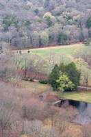 Framed Spring Forest in East Haddam, Connecticut