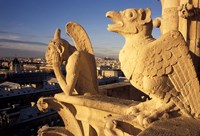 Framed Gargoyles of the Notre Dame Cathedral, Paris, France