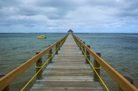 Framed Long wooden pier, Coral Coast, Fiji, South Pacific