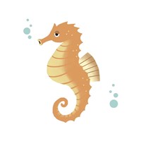 Framed Sea Creatures - Seahorse