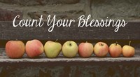 Framed Count Your Blessings Apples