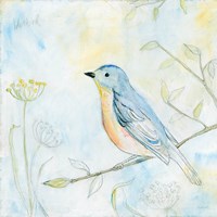 Framed Sketched Songbird II