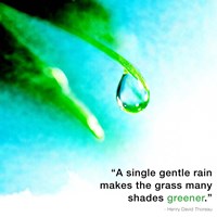 Framed Single Gentle Rain - Henry Thoreau Quote (Droplet)