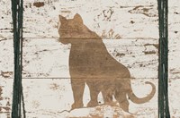 Framed Cougar in Reverse