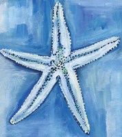 Framed Starfish Blues