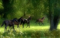 Framed Running Horses