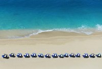 Framed Row of Beach Umbrellas