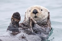 Framed Yesterday I Caught A Fish This Big! - Otter, Alaska