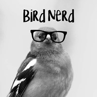 Framed Bird Nerd - Chaffinch