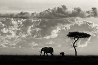 Framed Silhouettes Of Mara
