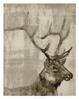 Framed Sepia Elk