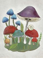 Framed Mushroom Collection II