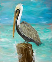 Framed Single Pelican on Post