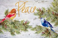 Framed Holiday Peace