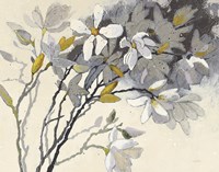 Framed Magnolias Yellow Gray